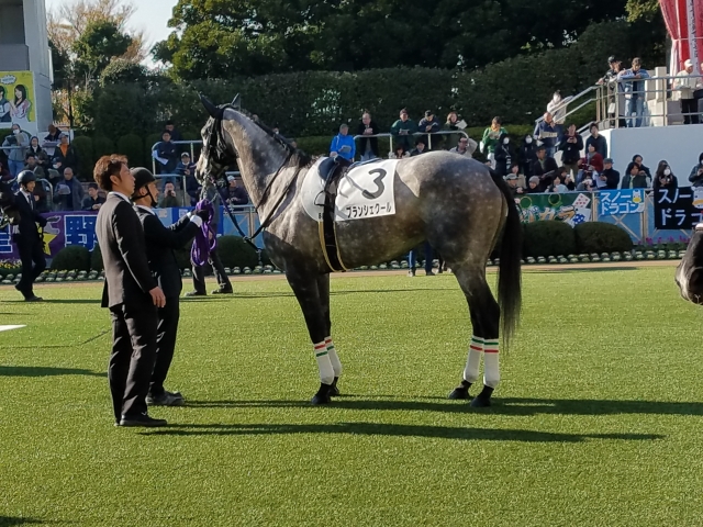 チークは似合わないから今日はつけてないの ブランシェクール