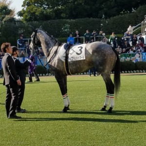 チークは似合わないから今日はつけてないの