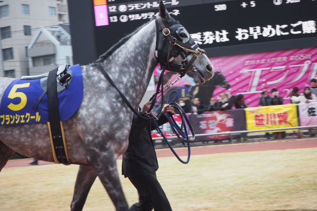 エンプレス杯　引退レースパドック ブランシェクール