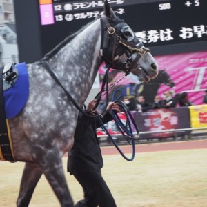 エンプレス杯　引退レースパドック