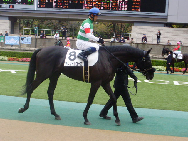 パドックにて アジュールローズ