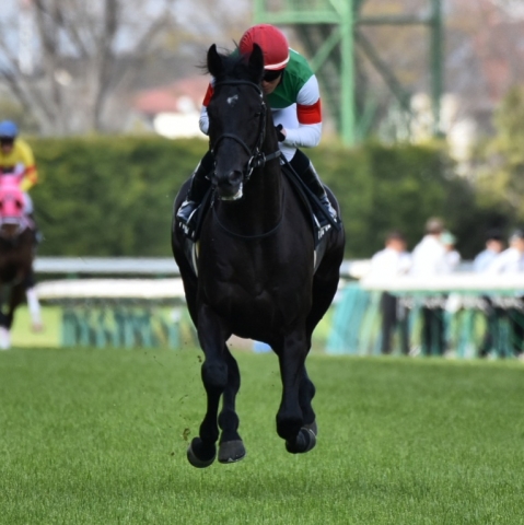 返し馬 アジュールローズ