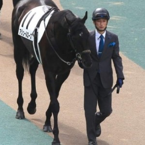 2016/5/29 東京優駿