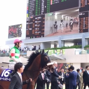 大阪杯パドックにて