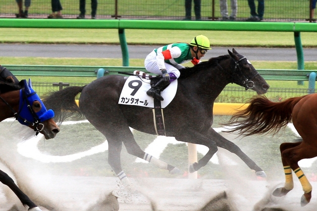 2018.5.19 東京8R カンタオール