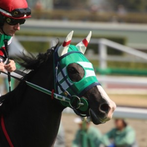 3歳未勝利（牝）2016/02/28