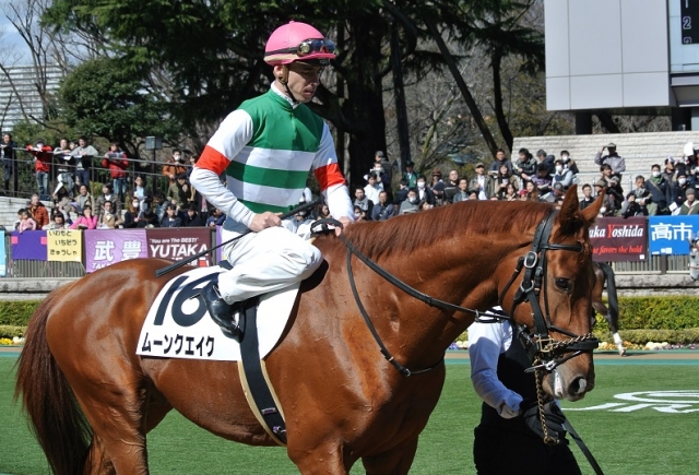 新馬戦パドック③ ムーンクエイク