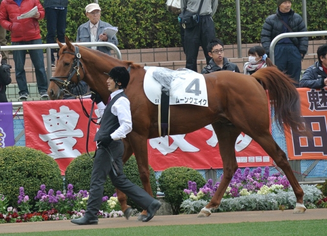 初勝利パドック① ムーンクエイク