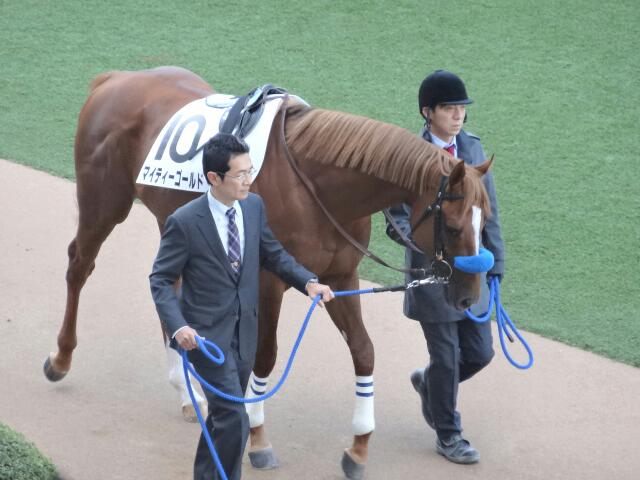 中山2R新馬戦ダート1,800m① マイティーゴールド
