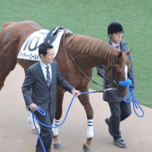 中山2R新馬戦ダート1,800m①
