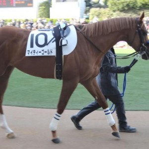 中山2R新馬戦ダート1,800m②
