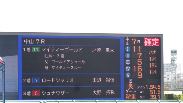 ④ マイティーゴールド
