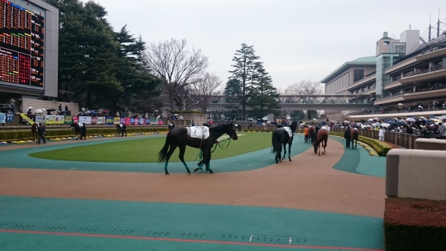 パドックその2 アップクォーク