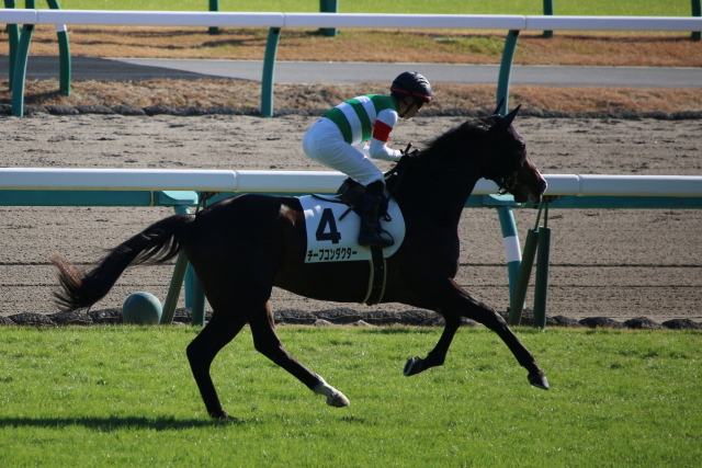 新馬戦 チーフコンダクター