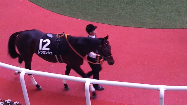 馬体もいい感じでしたが レプランシュ