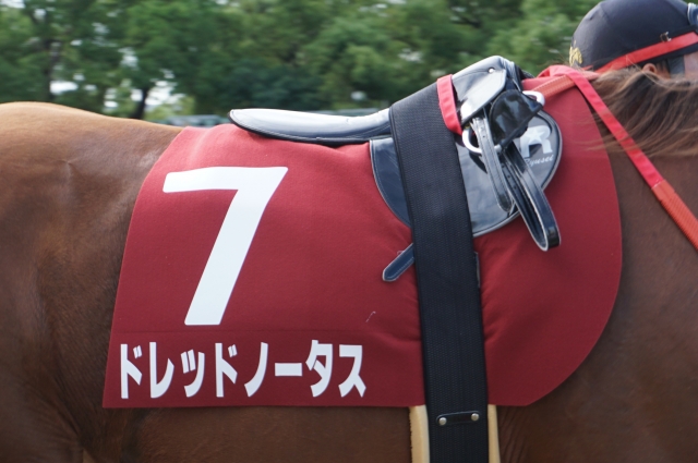京都大賞典パドック① ドレッドノータス