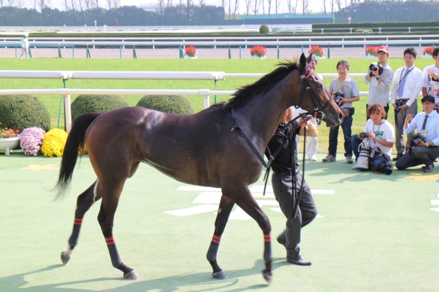 デビュー勝ち！ クラシックリディア