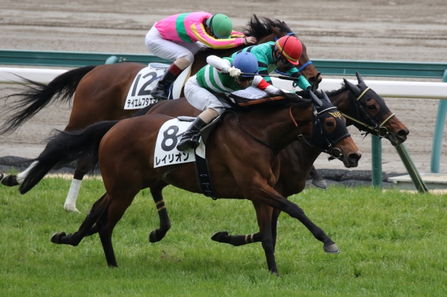 ゴール前 レイリオン