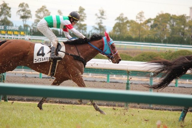 未勝利戦ゴール前 コイスルキセキ