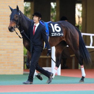 つわぶき賞（パドック）