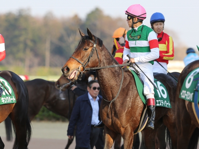 オーシャンS レース後 エスティタート