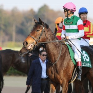 オーシャンS レース後