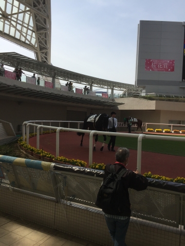 5戦目パドック2 デューズワイルズ