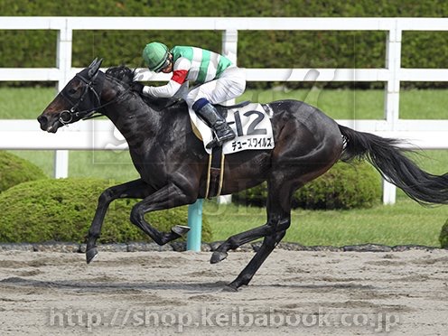 初勝利 デューズワイルズ