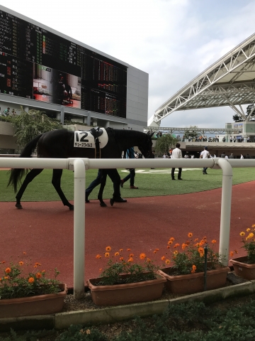 初勝利 デューズワイルズ