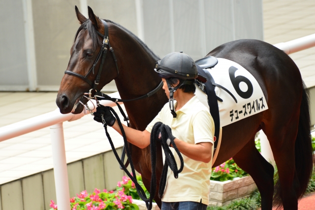 ２歳新馬戦　2015-0921 デューズワイルズ