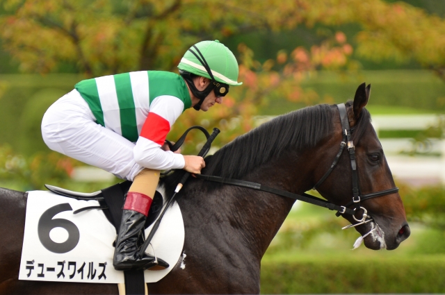 ２歳新馬戦　2015-0921 デューズワイルズ