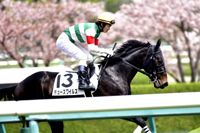 ３歳未勝利　2016-0409 デューズワイルズ