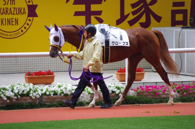 阪神　３歳500万下② クロークス