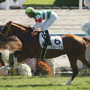 ２歳新馬戦５着