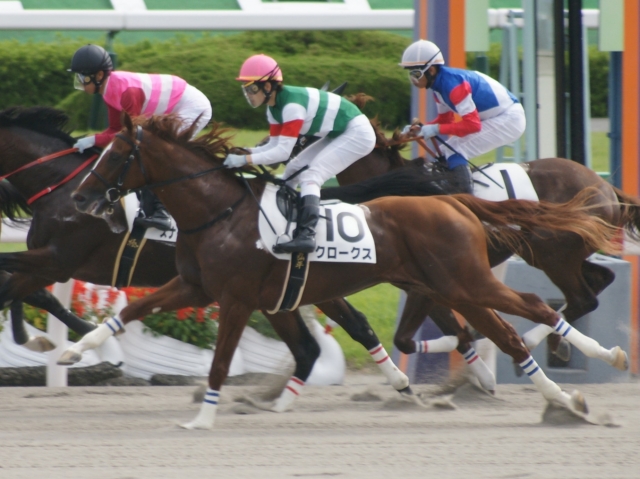 500万(９戦目)レース中 クロークス