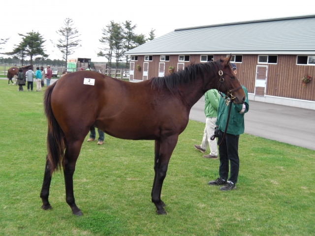 北海道ツアー ゼーヴィント