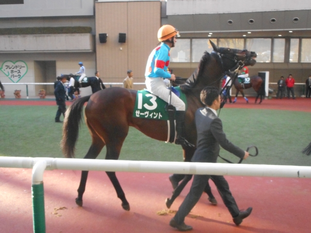 パドック ゼーヴィント