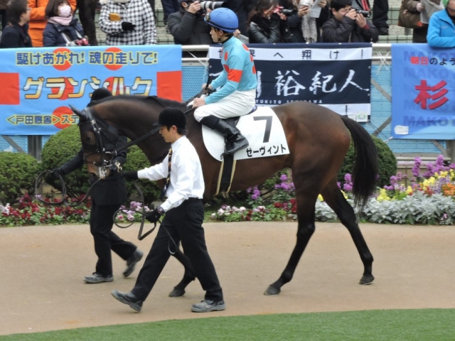 3月13日　中山　3歳未勝利　パドック ゼーヴィント