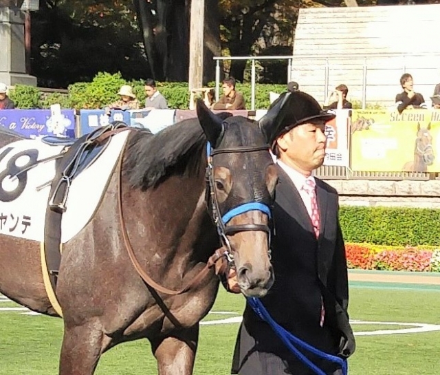 パドック2 アルジャンテ