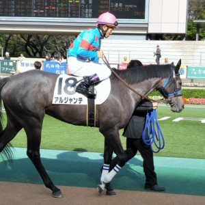 未勝利パドック