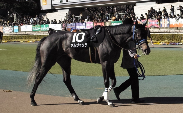 パドック アルジャンテ