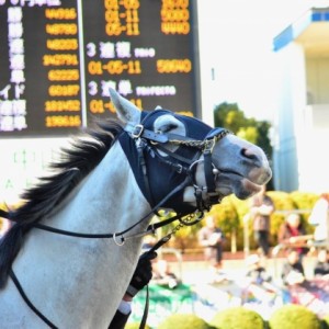 新馬戦