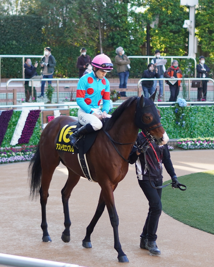 2020/12/6 ラピスラズリS(OP) アストラエンブレム