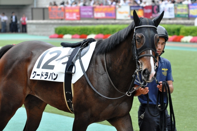 新馬戦 / パドック クードラパン