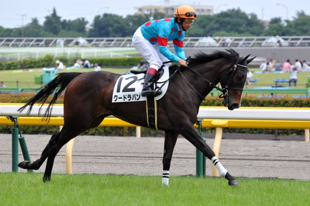 新馬戦 / 返し馬 クードラパン