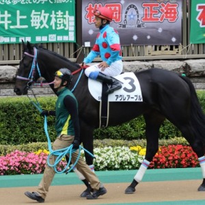 2015/10/17 東京5R 2歳新馬