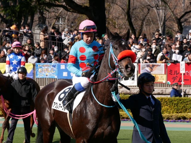 パドック周回中 アグレアーブル