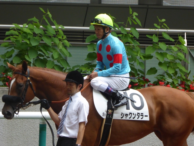 新馬戦パドック シャクンタラー