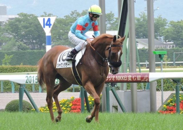 新馬戦本馬場入場 シャクンタラー