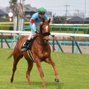 ミモザ賞返し馬